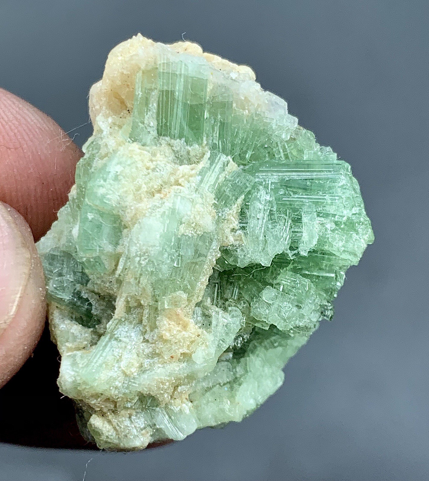 13.56 Gram Natural Tourmaline Crystal Bunch Specimen/ Afghanistan Mineral