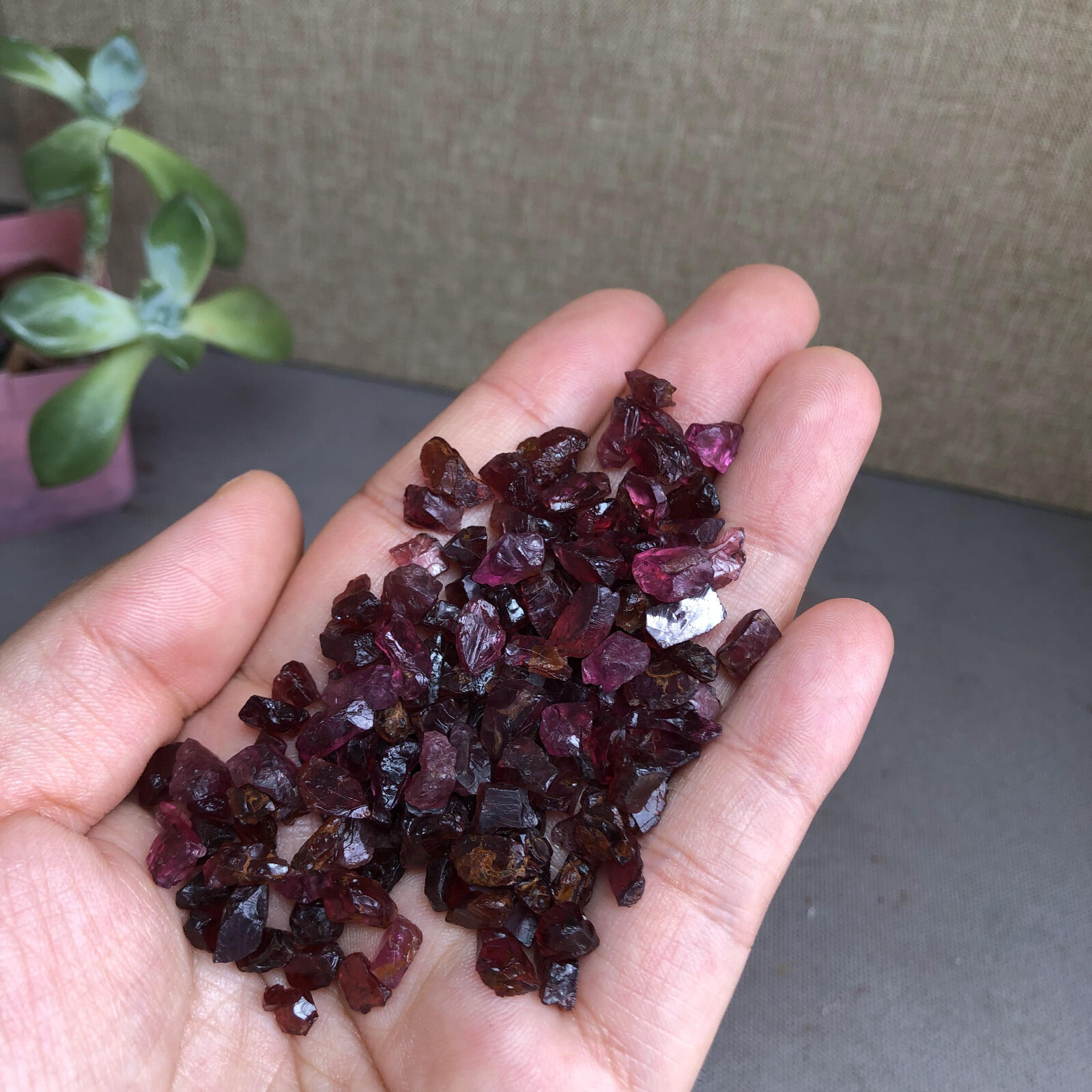 140+pcs Natural tiny Garnet gemstone pieces Crystal specimens 40g A2741