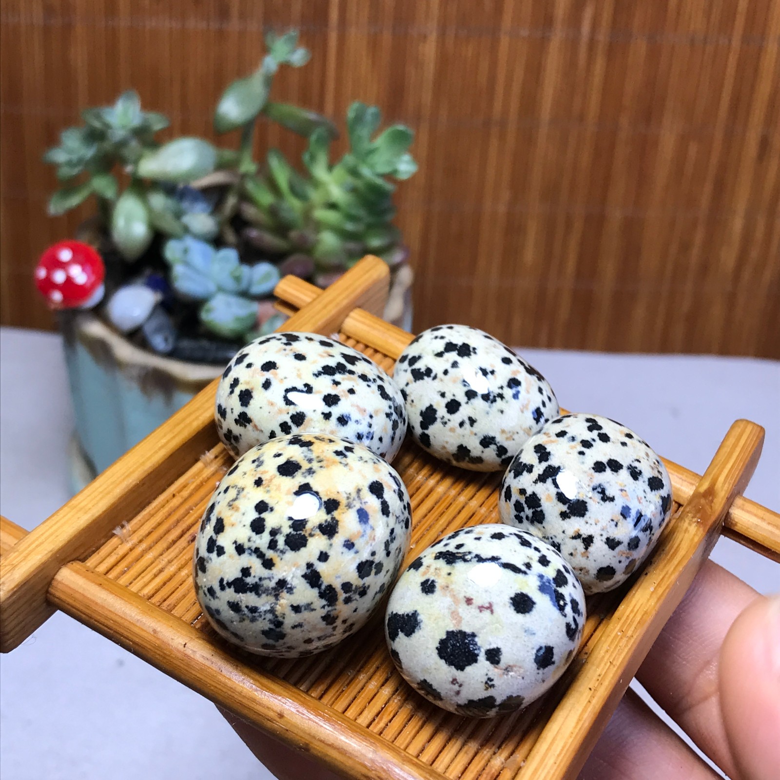 24-24-18mm 5Pcs Natural spotted stone Crystal gemstone Mineral Specimen A5717