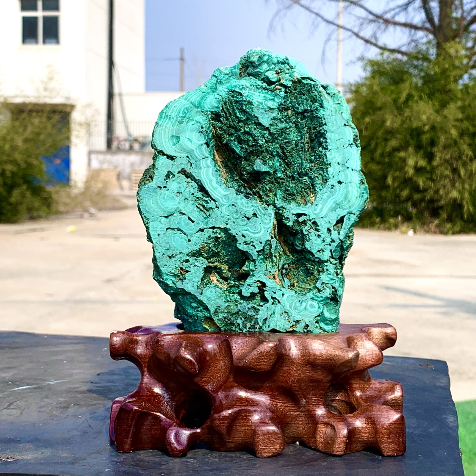 1.92LB Natural glossy Malachite transparent cluster rough mineral sample