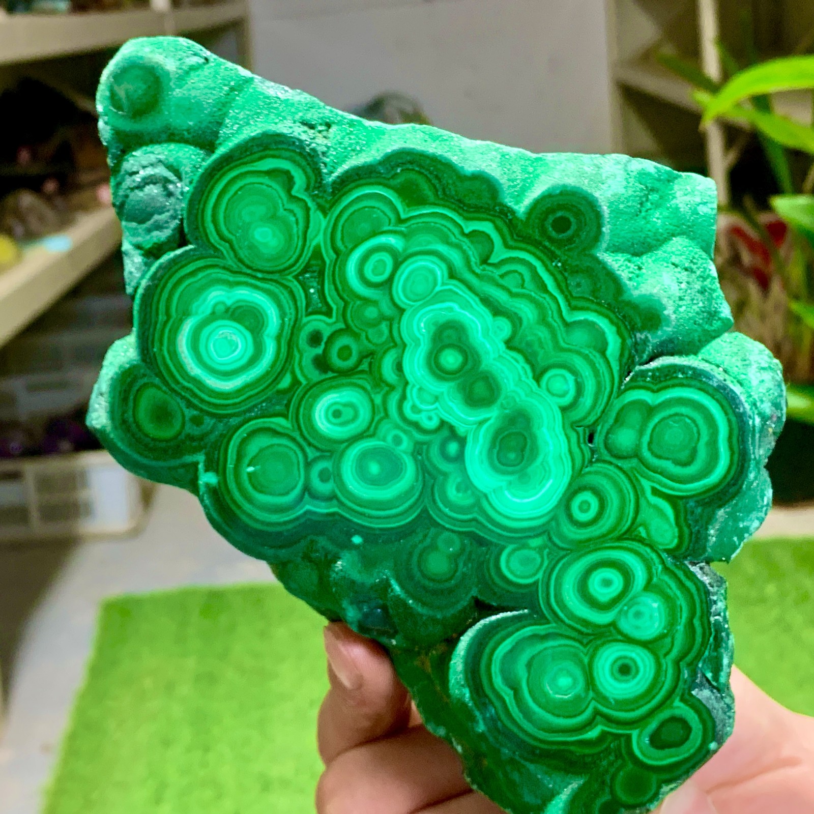 1.92LB Natural glossy Malachite transparent cluster rough mineral sample healing