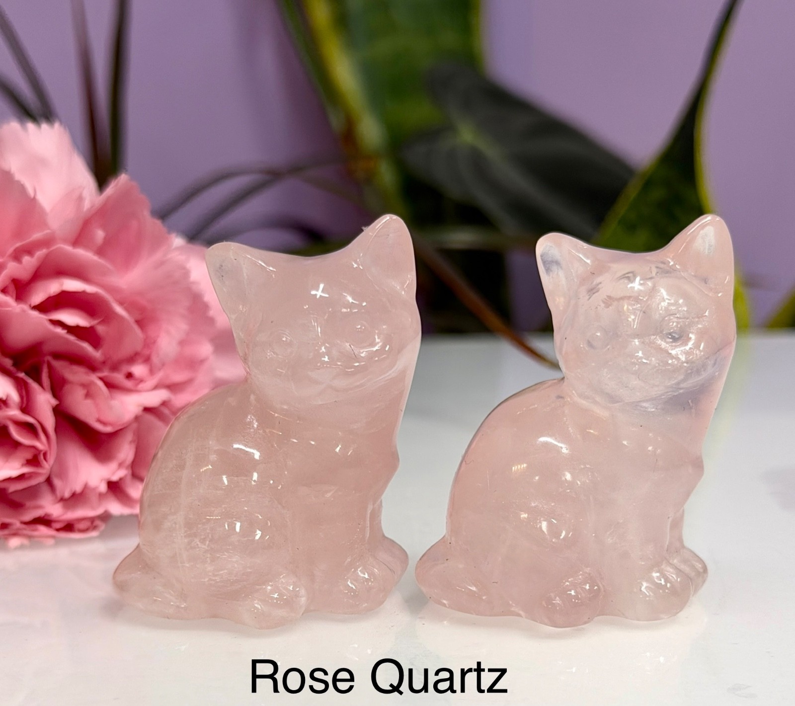 Wholesale Lot 6 Pcs 2” Mixed Natural Crystals Cat Healing Energy