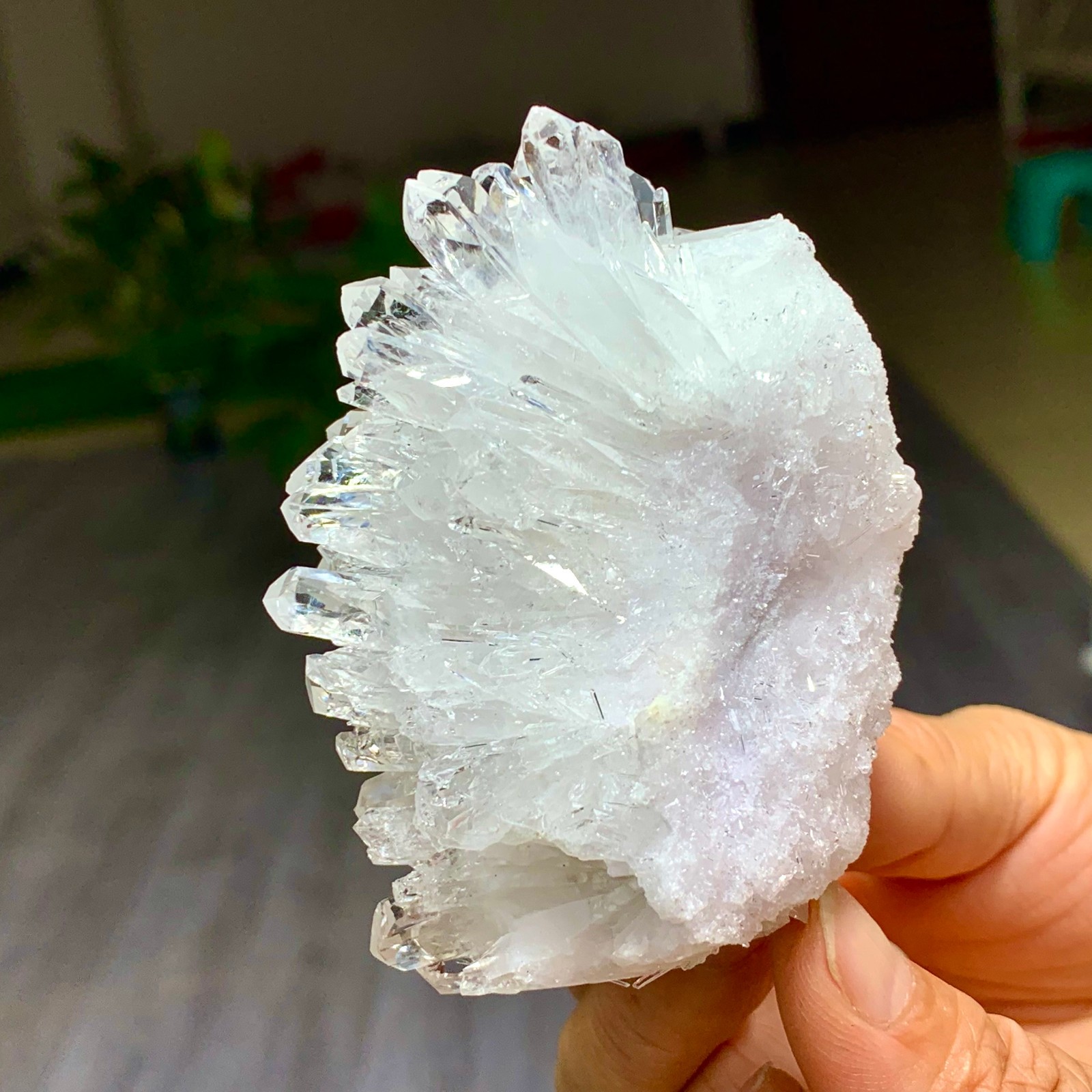 227G Natural Transparent Chrysanthemum crystal Cluster Specimen