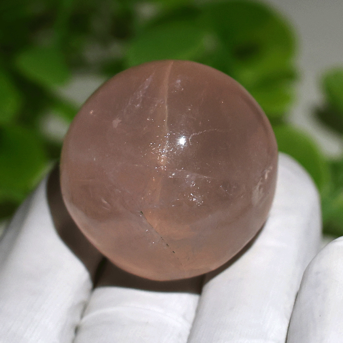 57g Gemmy Star Rose Quartz Palmstone—Celestial Love Stone— Six-Ray Star Asterism