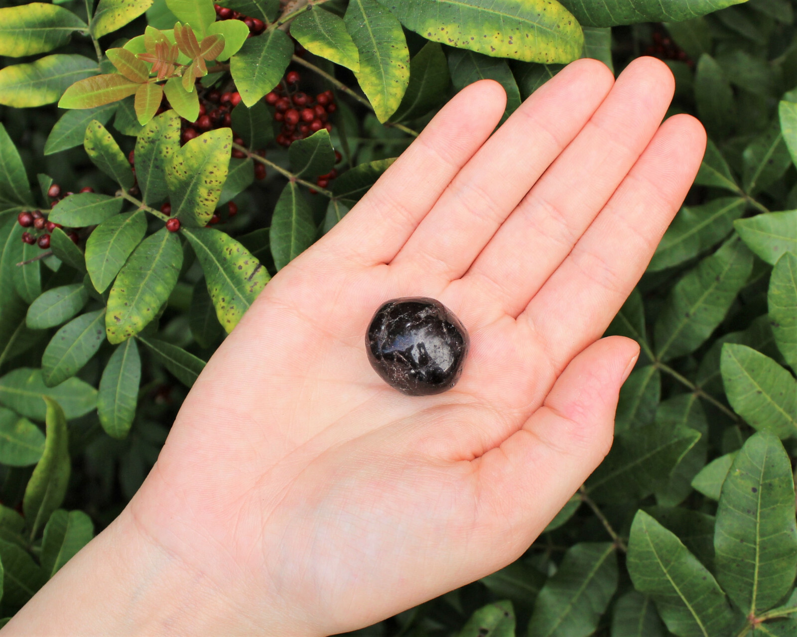 1 Garnet Tumbled Stone: Medium 0.75 – 1″ (Crystal Healing Reiki Chakra)