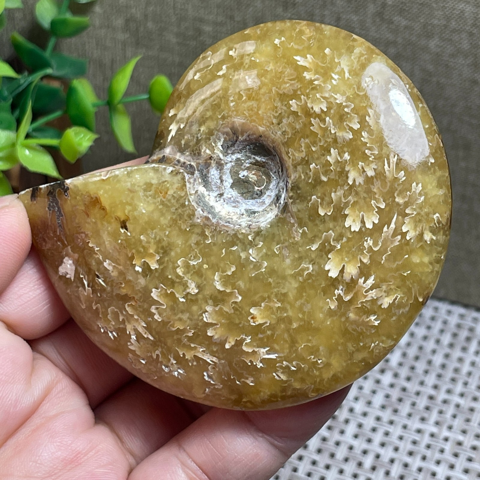 Madagascar Polishing Pretty Pattern Stone sculptor decoration 112g