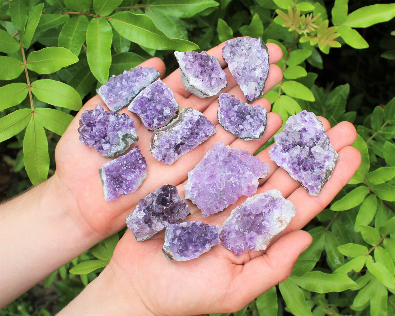 Wholesale Bulk Lot: 5 lb Amethyst Cluster Crystal Geode Small Specimens