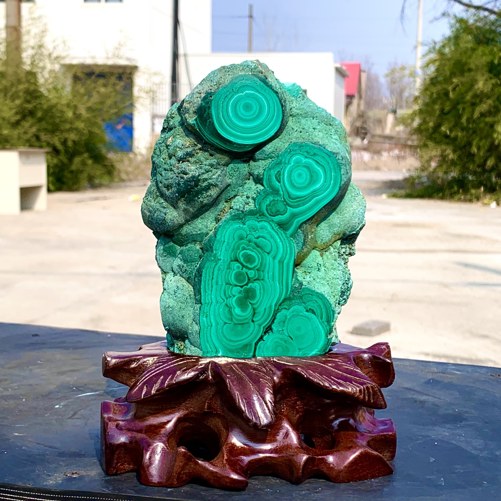 1.92LB Natural glossy Malachite transparent cluster rough mineral sample