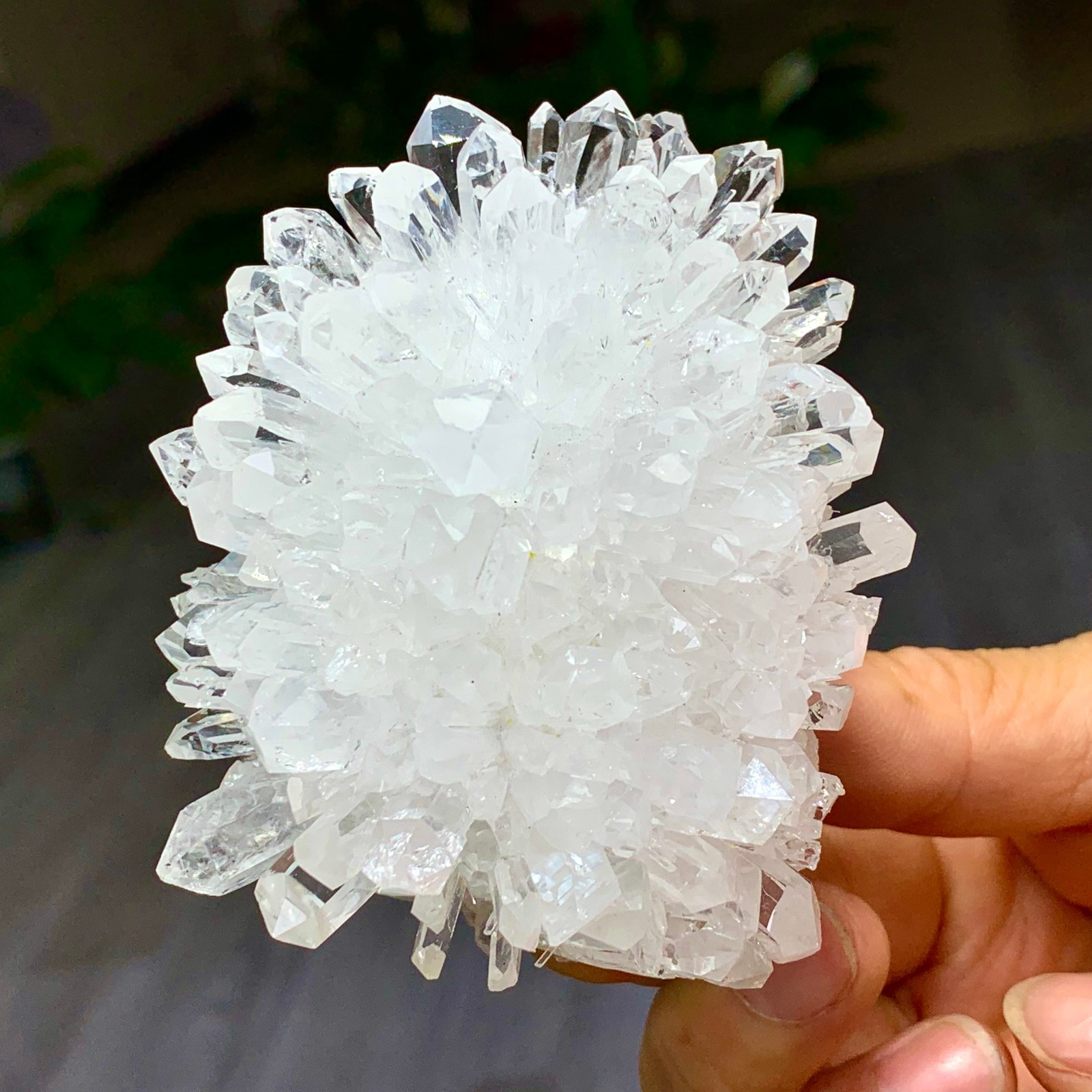 227G Natural Transparent Chrysanthemum crystal Cluster Specimen