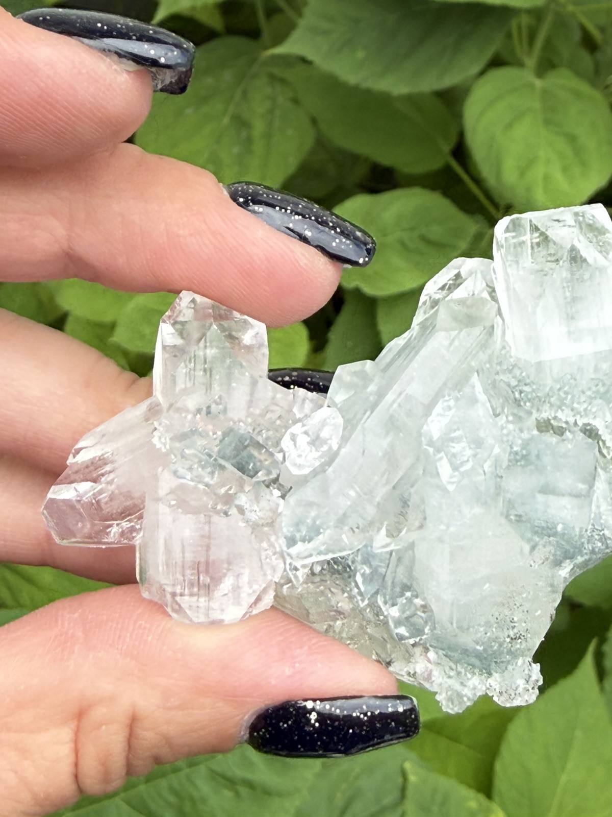 Natural Green Apophyllite Crystal Cluster India Mineral Specimen Collector