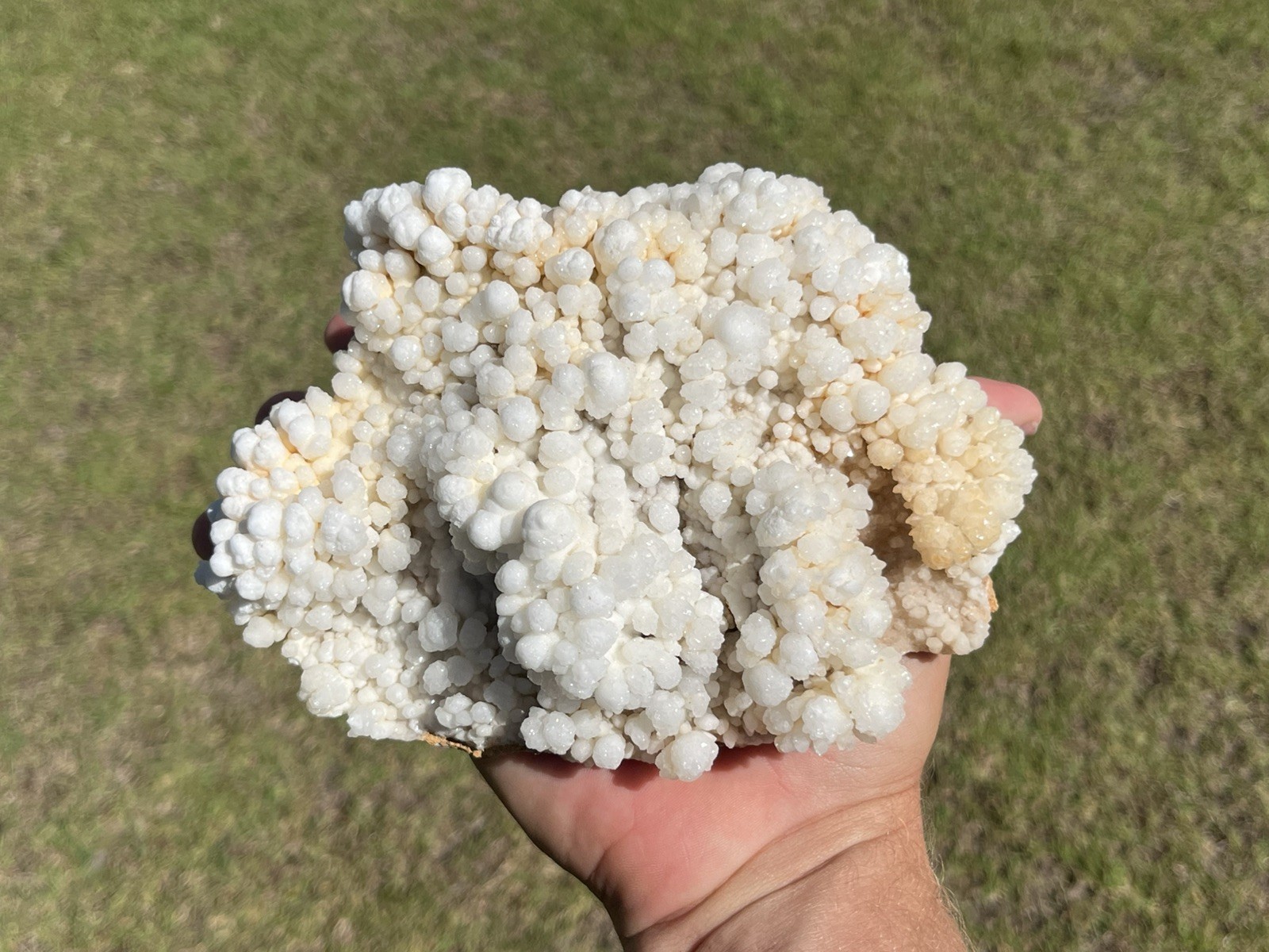 Natural Reef Calcite Cluster Crystal Mineral Specimen Display Piece 1.598kg