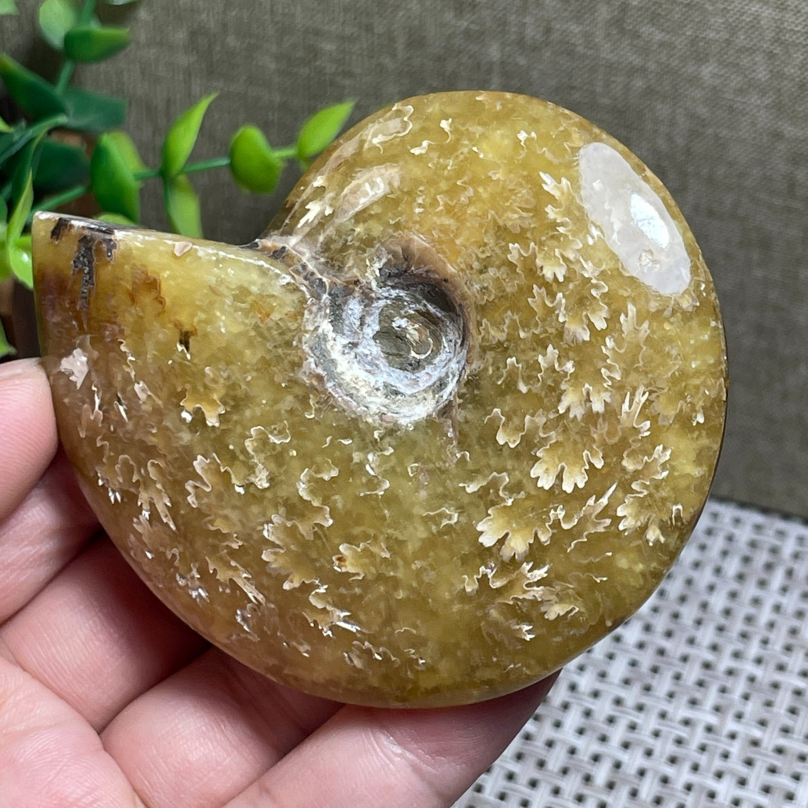 Madagascar Polishing Pretty Pattern Stone sculptor decoration 112g