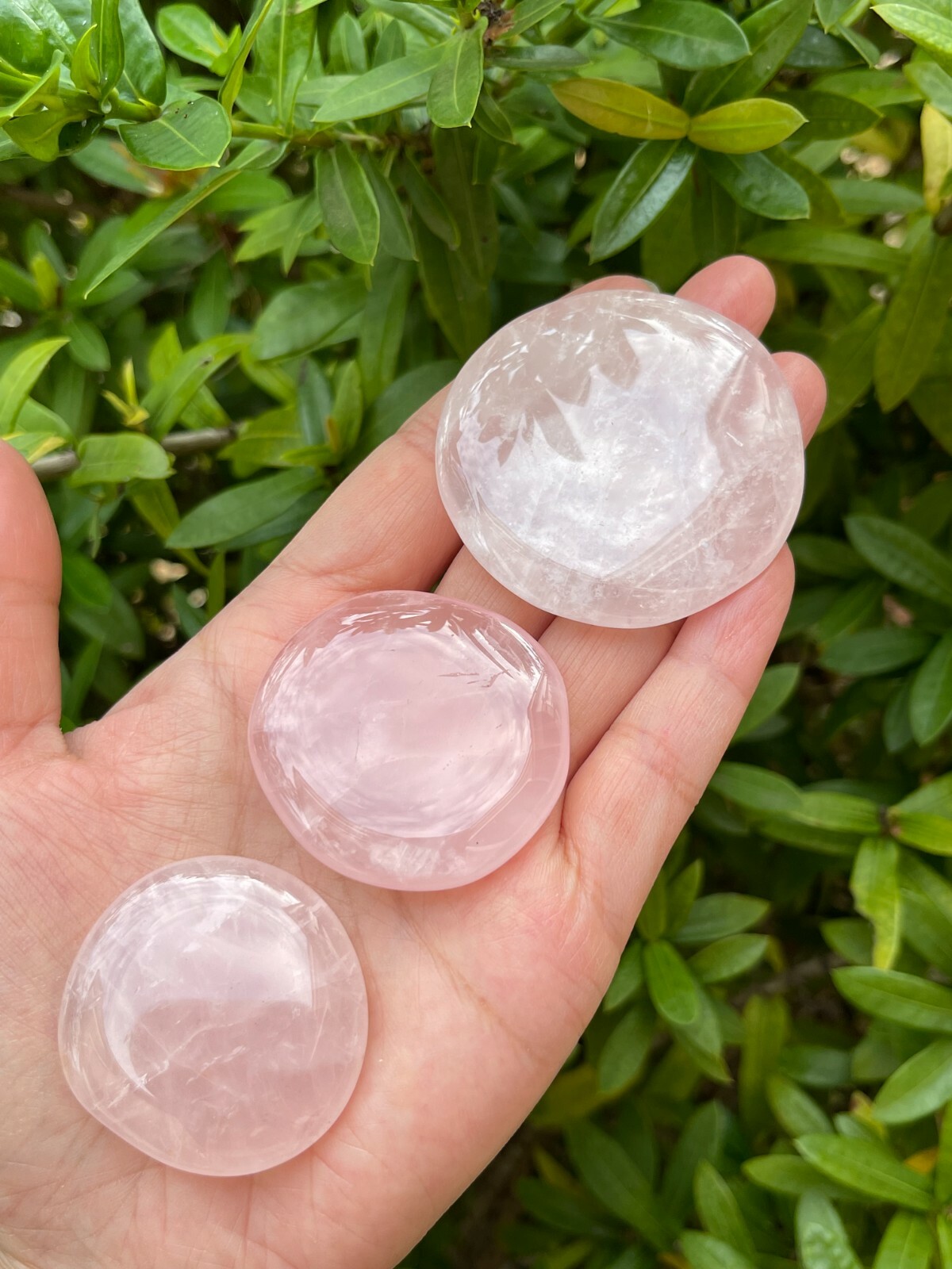 Rose Quartz Smooth Stone,1.5″-2″ Polished Rose Quartz Palm Stone, Wholesale Lot