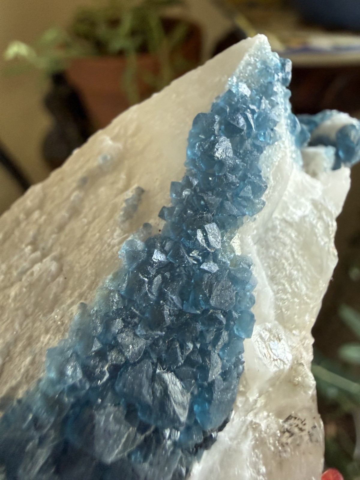 Irradiated Blue Fluorite Crystal in White Candle Quartz – 10.58 oz