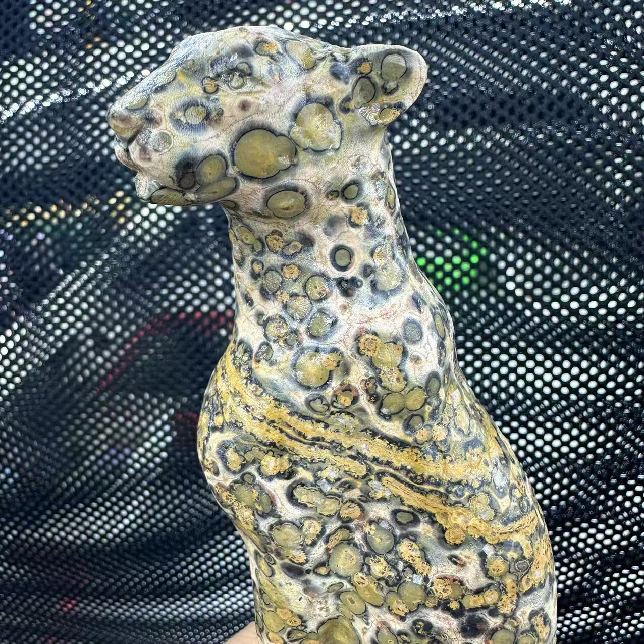1pc Natural Unknown Quartz Carved Leopard Skull Crystal Reiki Healing Decor