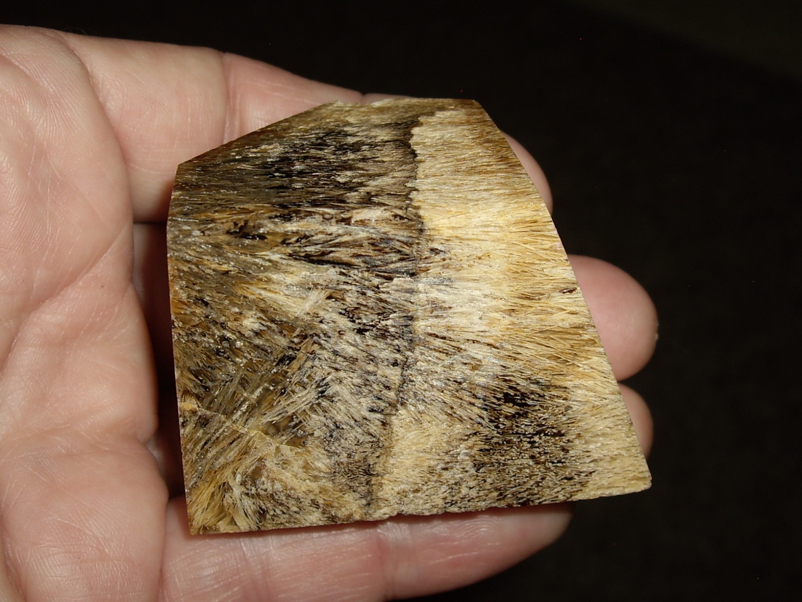 Fantastic Sagenite Agate Polished Freeform w/ Unknown Fibrous Inclusions 144.6g