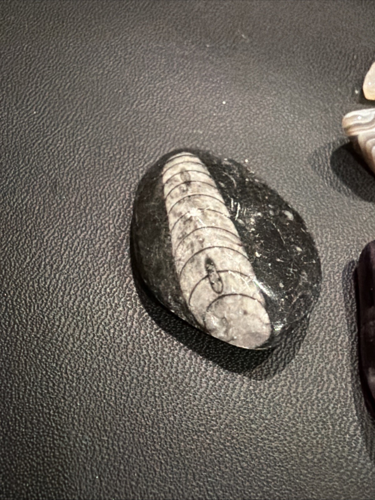 Lot Of Assorted Unknown Rocks / Crystals Collection Couple Carved One Fossil