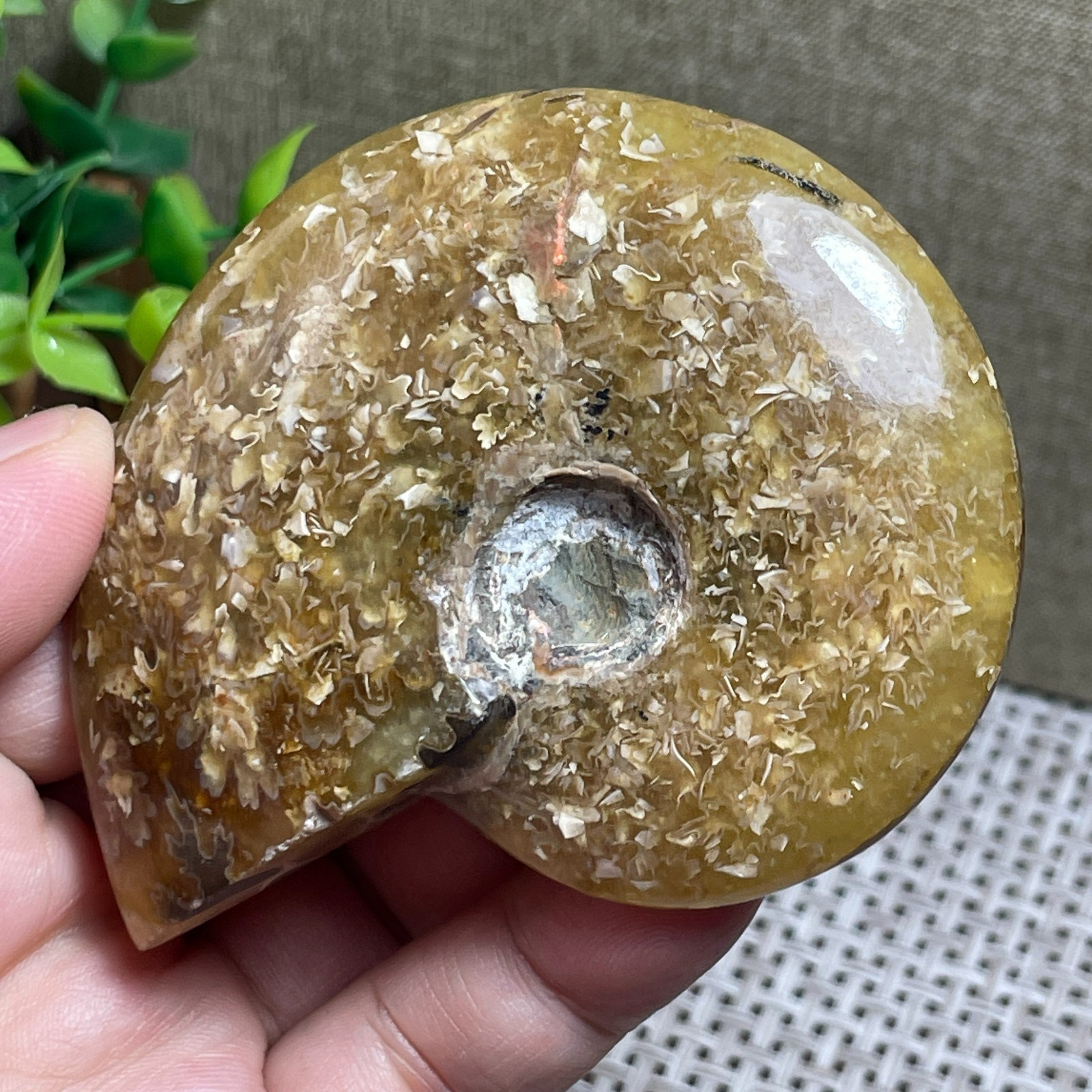 Madagascar Polishing Pretty Pattern Stone sculptor decoration 112g