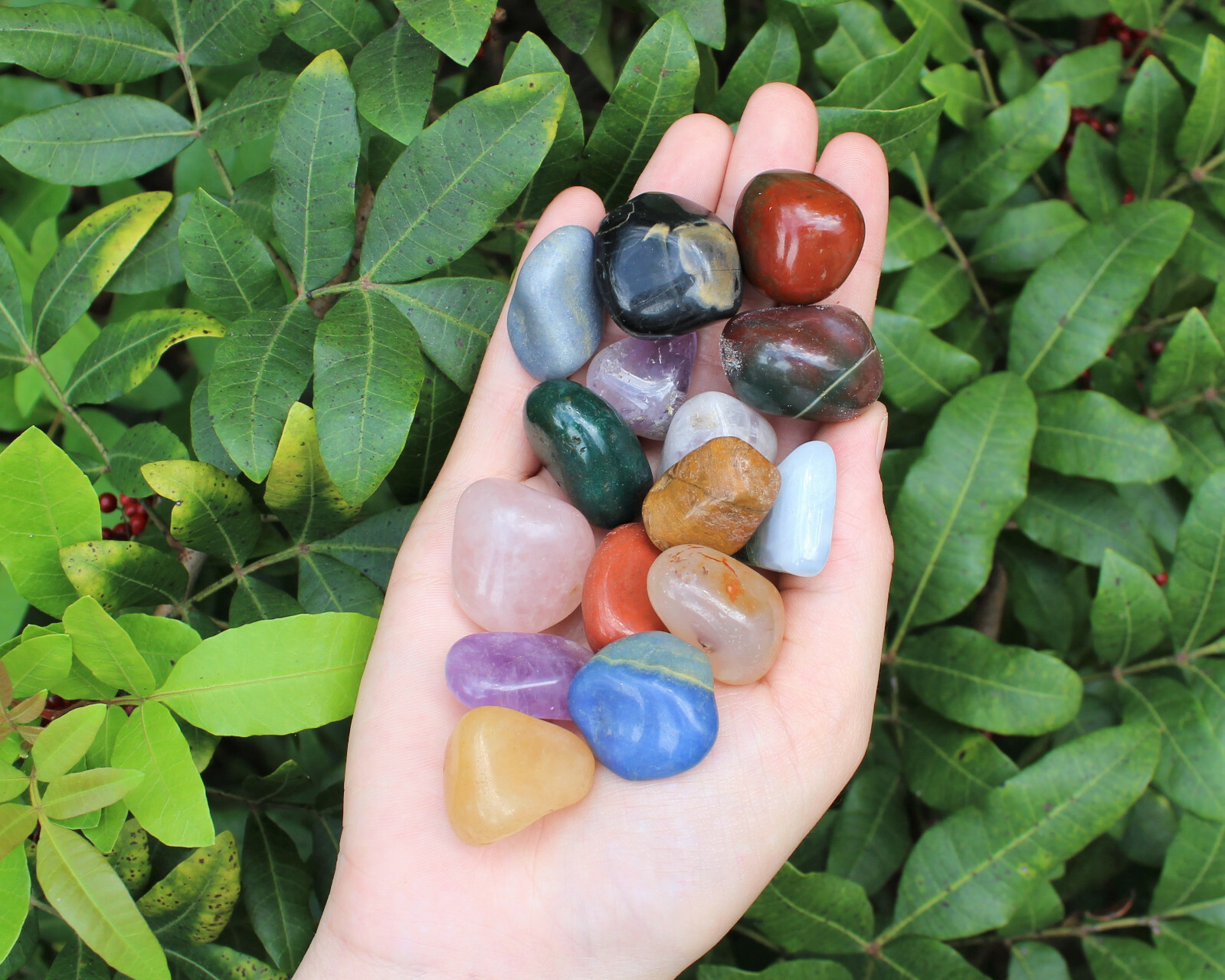 Assorted Mixed Tumbled Stones 1 lb Wholesale Bulk Lot MEDIUM Chakra Reiki 16 oz