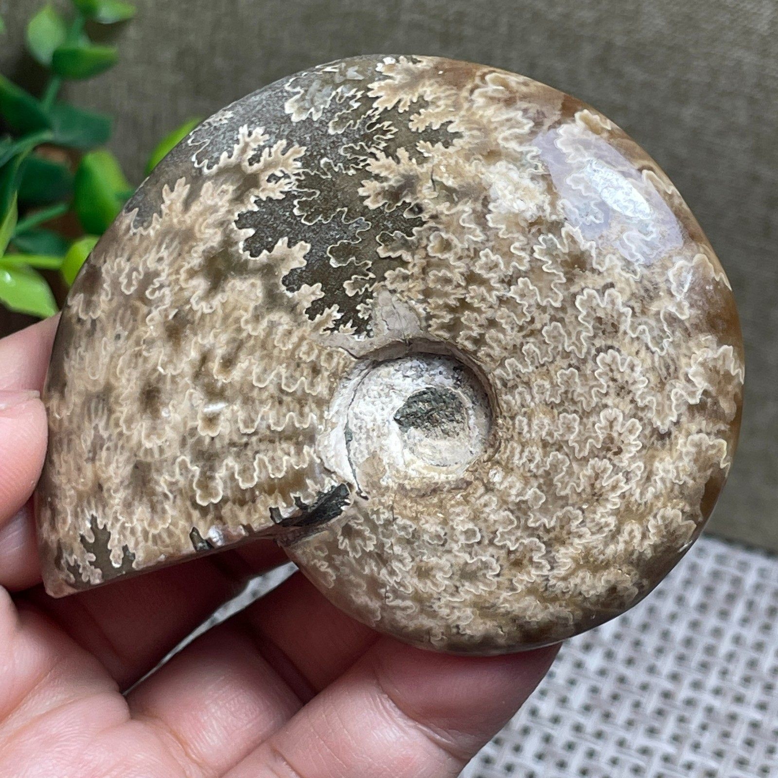 Madagascar Polishing Pretty Pattern Stone sculptor decoration 96g