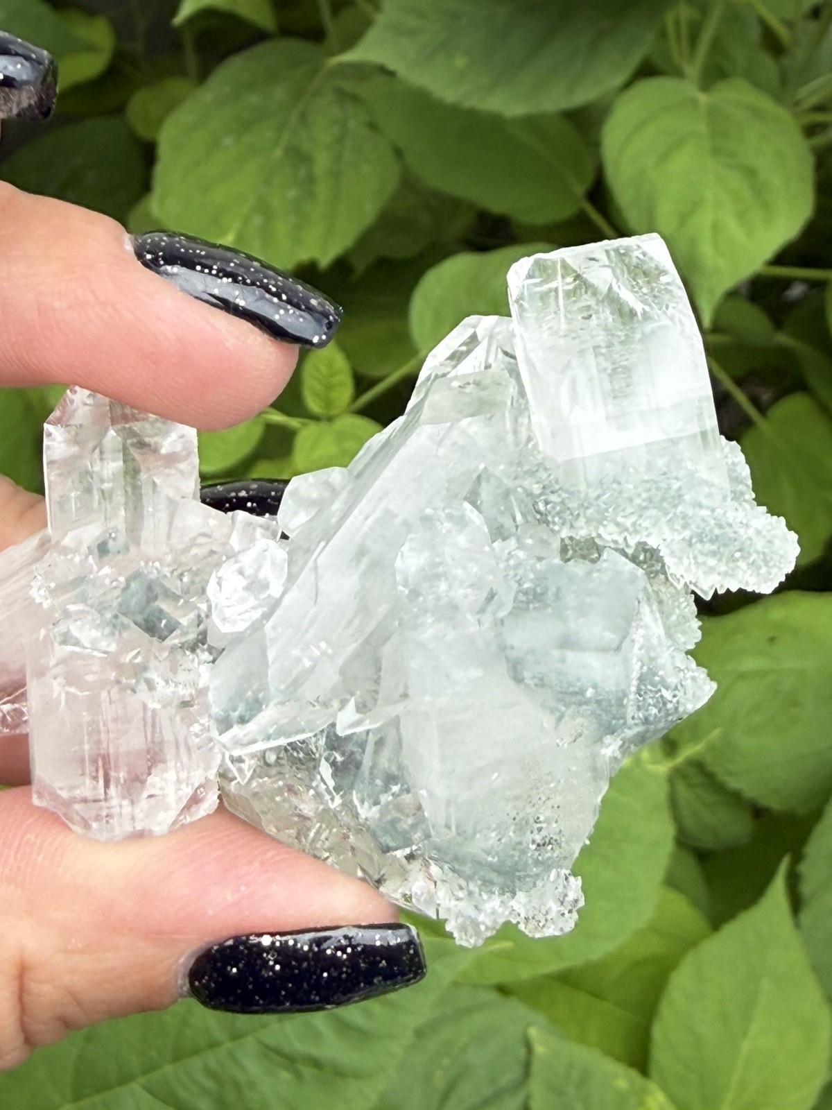 Natural Green Apophyllite Crystal Cluster India Mineral Specimen Collector
