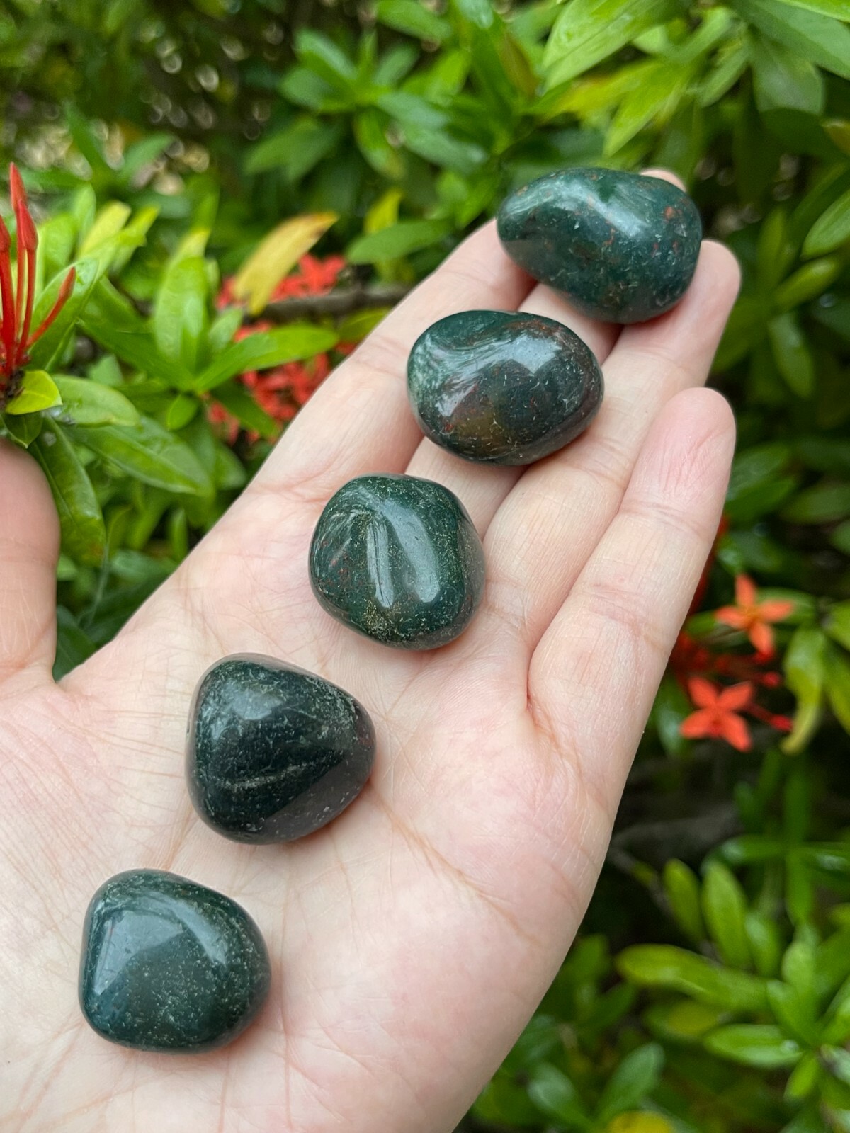 Bloodstone Tumbled Stones, 0.75-1 Inch Tumbled Bloodstone Stone, Wholesales Bulk
