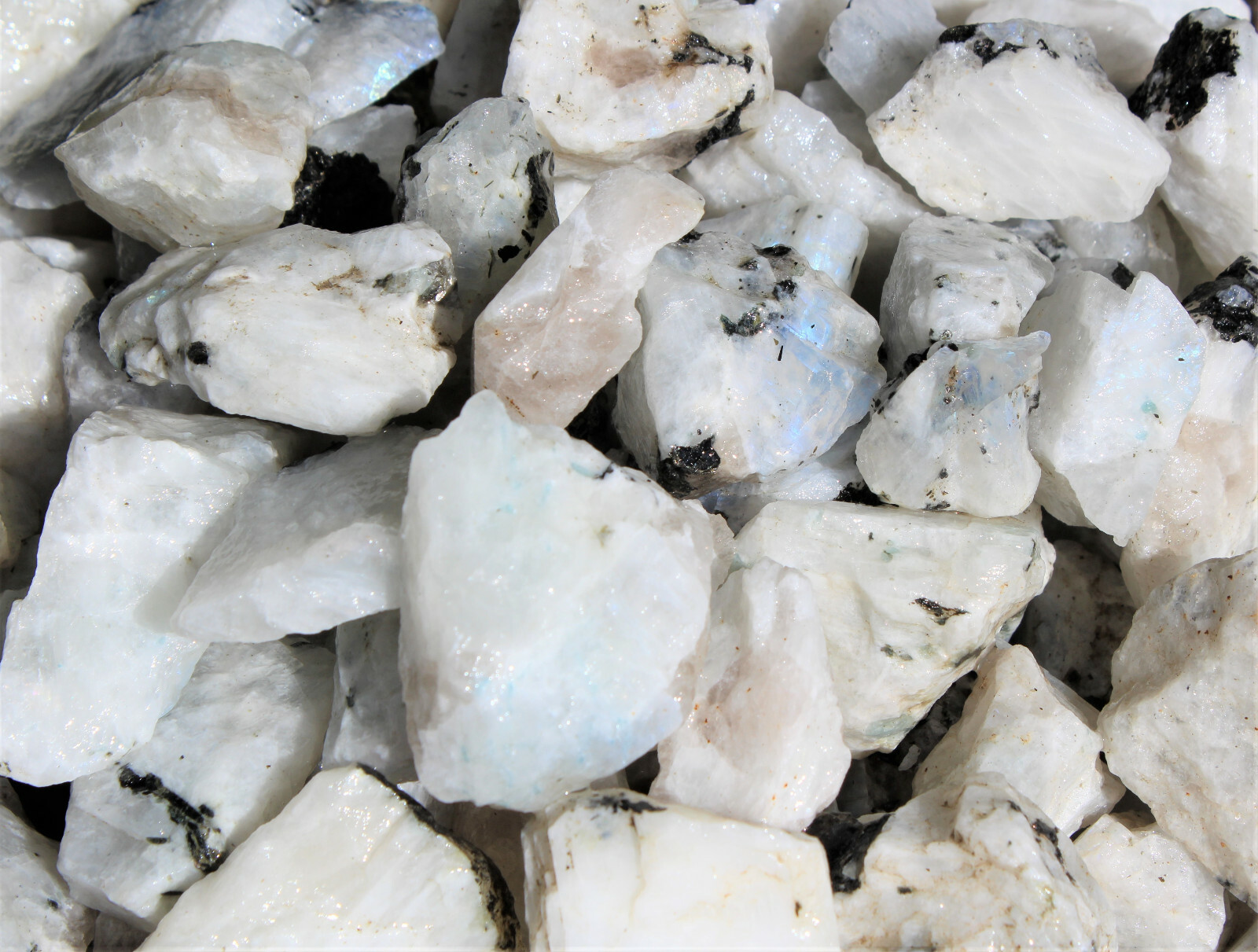500 Carat Lot Natural Rough Rainbow Moonstone Crystals (Raw Stone, 100 Grams)