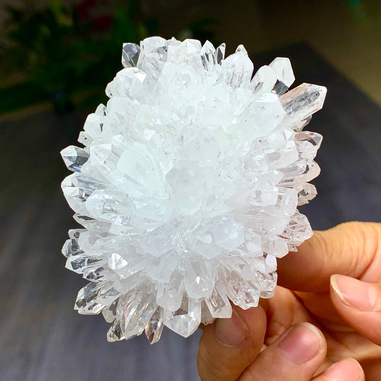 227G Natural Transparent Chrysanthemum crystal Cluster Specimen