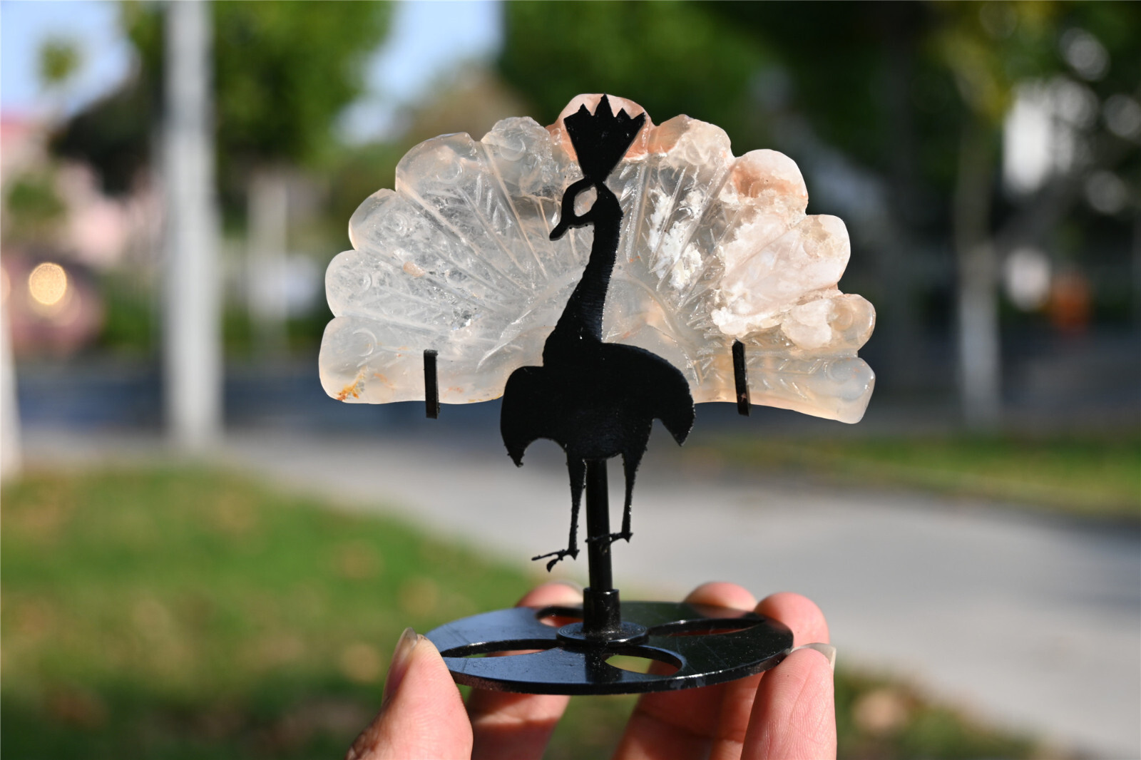 100g Natural Sakura Agate PEACOCK Quartz Wing Crystal Reiki Healing+bracket
