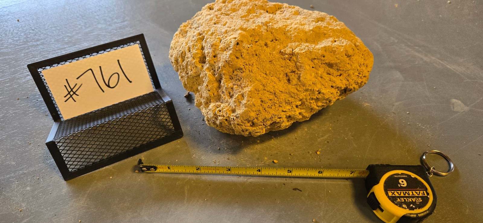 7.5″ Medium Pumice Stone Floating Natural Rock Carnivorous Succulent Garden #761
