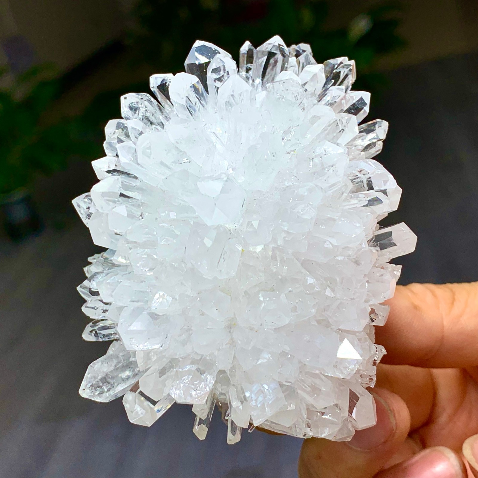 227G Natural Transparent Chrysanthemum crystal Cluster Specimen