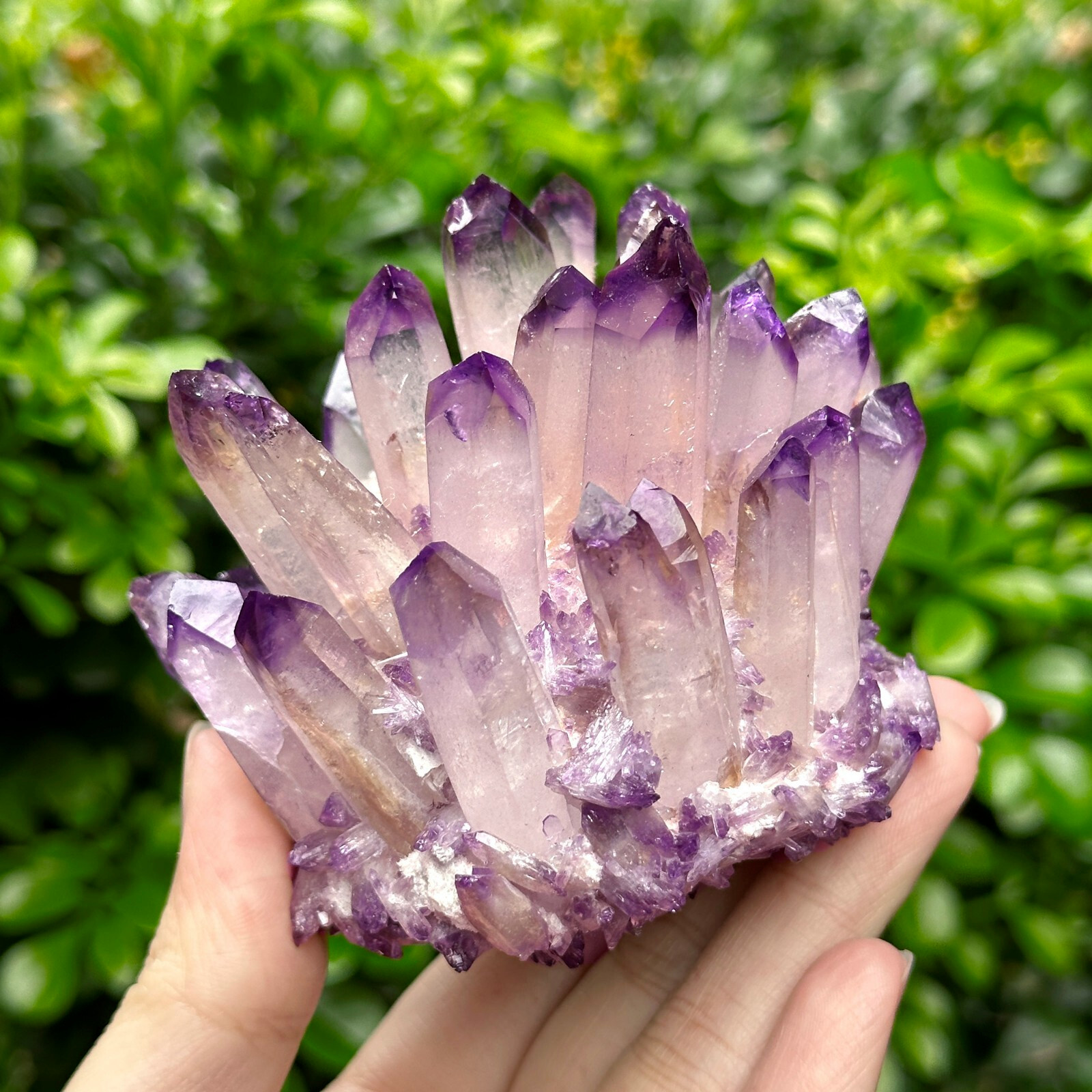 310G+ Natural Amethyst Phantom Cluster Healing Geode Mineral Specimen Crystal