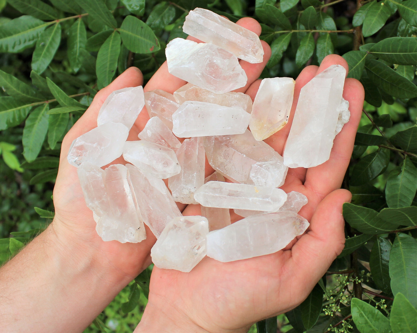 Wholesale CLEARANCE Lot 500 Carat Rough Natural Quartz Crystal Points