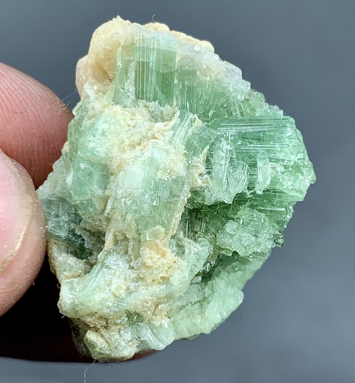 13.56 Gram Natural Tourmaline Crystal Bunch Specimen/ Afghanistan Mineral