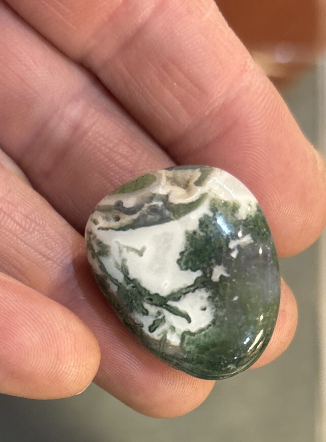 1 Piece Tumbled Tree Agate Average Size 12 Grams
