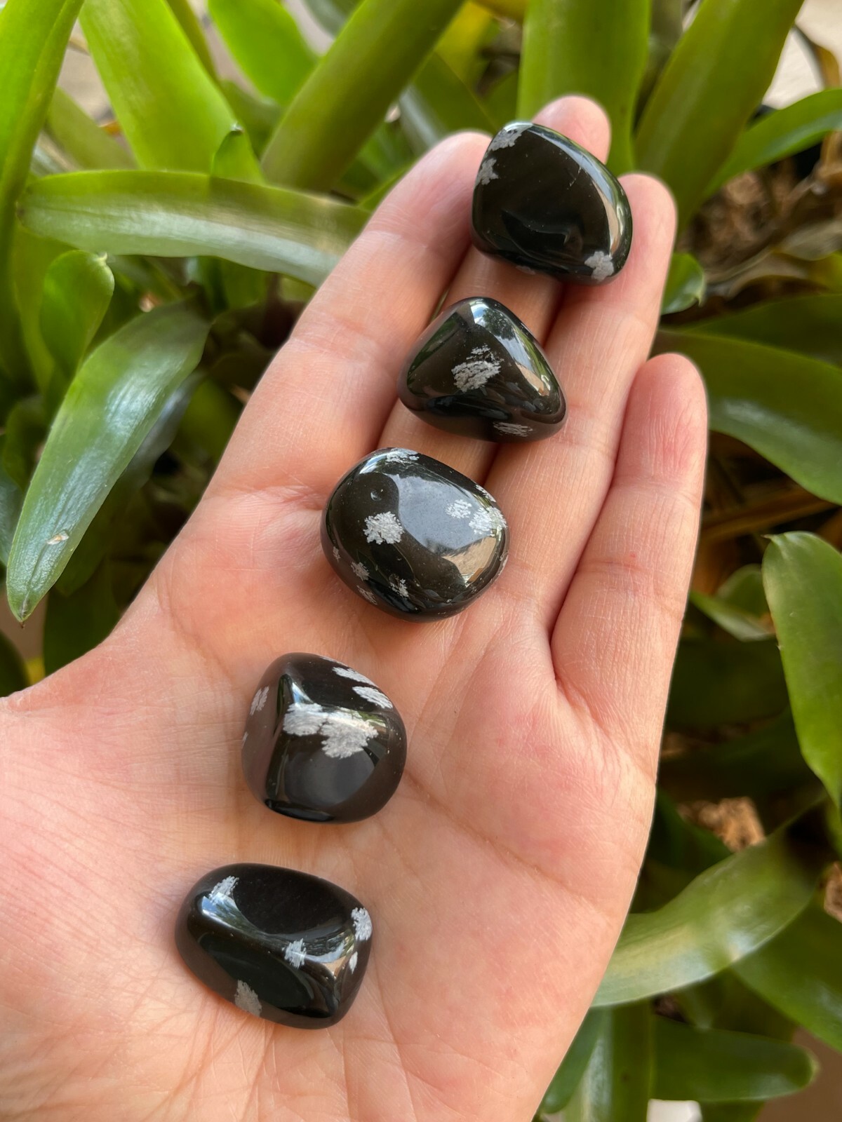 Grade A++ Snowflake Obsidian Tumbled Stones, 0.75″-1″ Polished Stone, Bulk Lot