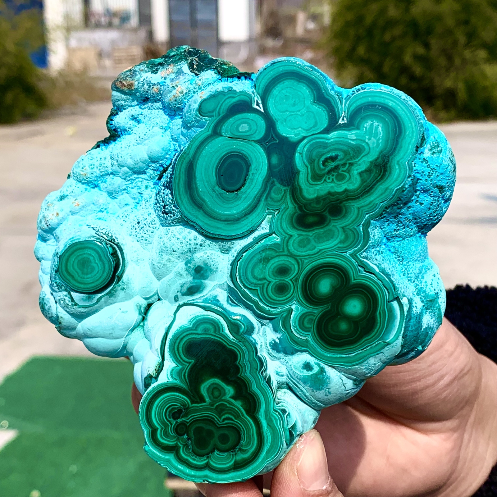 1.92LB Natural Chrysocolla/Malachite transparent cluster rough mineral sample