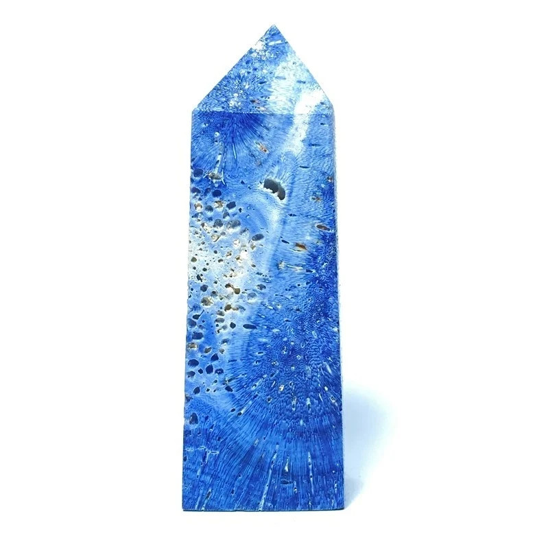 100g Collection ! Amazing Rare Blue Coral Jade Jasper Freeform Reiki Point
