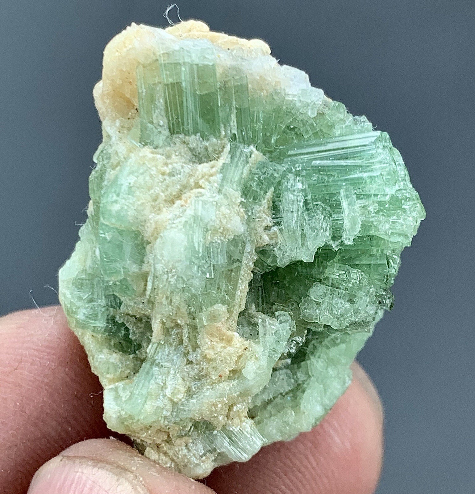 13.56 Gram Natural Tourmaline Crystal Bunch Specimen/ Afghanistan Mineral