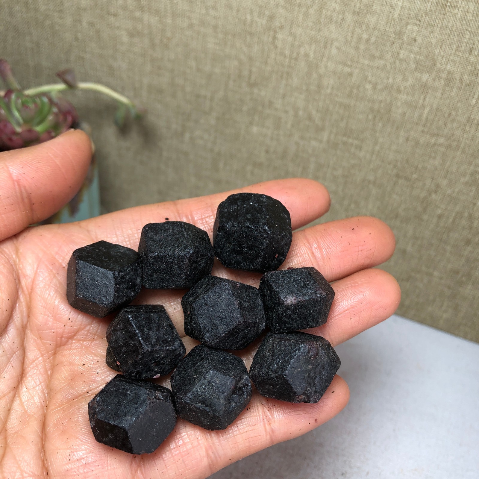 9pcs Natural garnet gemstone rough Raw Crystal original specimens 124g A3275