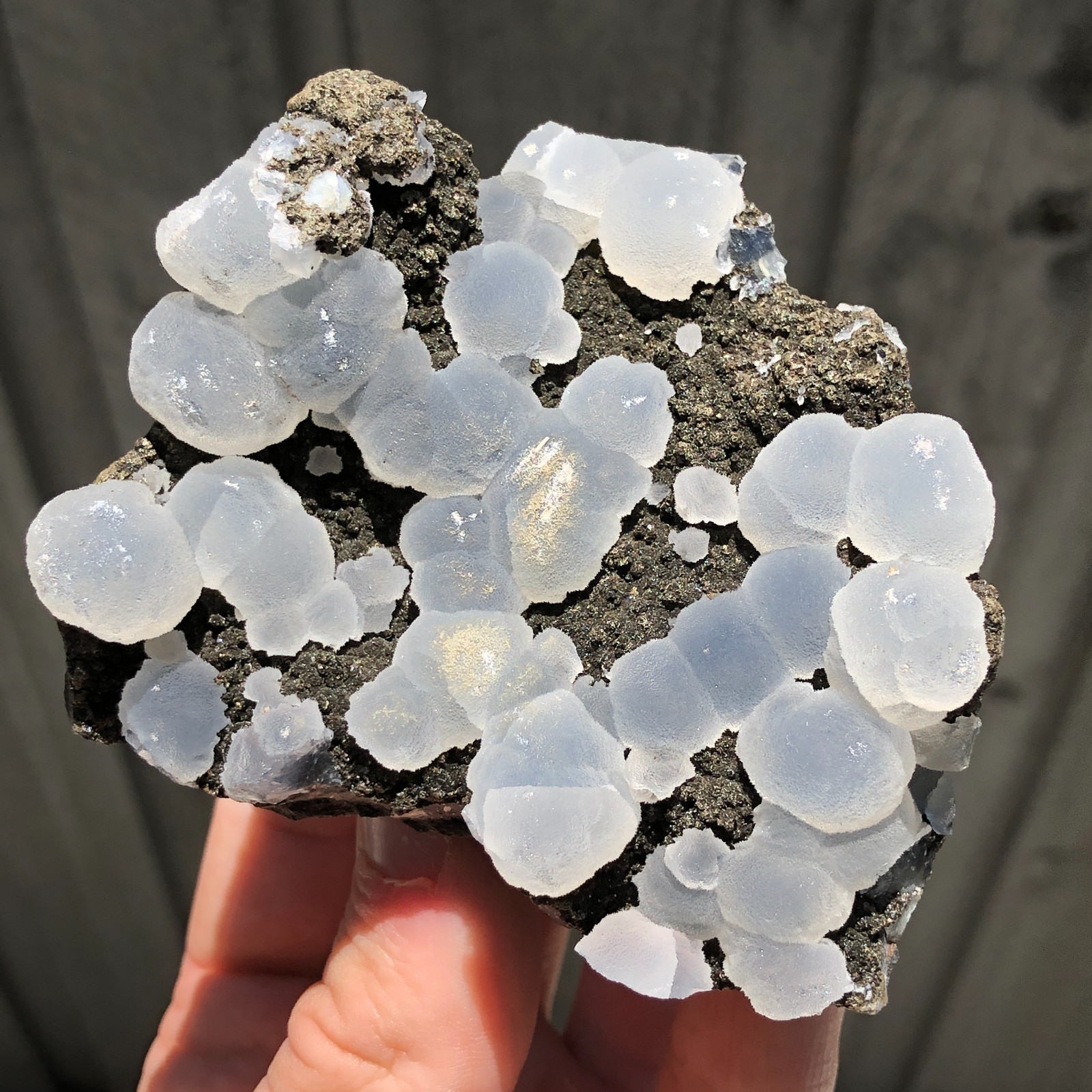 8.2cm Frosted Botryoidal Chalcedony Crystals on Matrix from India