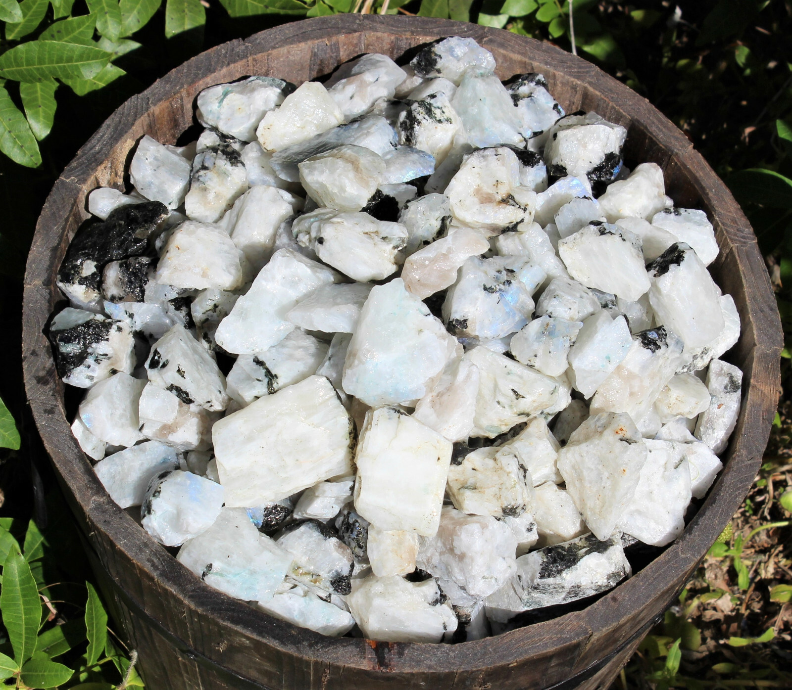 1 lb Bulk Lot Natural Rough Rainbow Moonstone Crystals (Raw Reiki Rocks 16 oz)