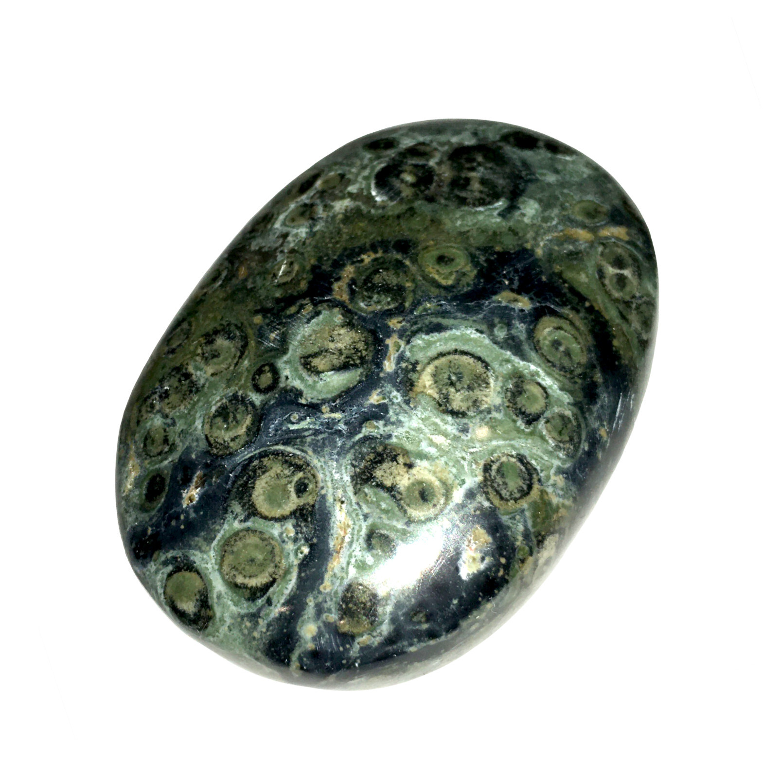 XL Kambaba Jasper Palm Stone Green Rock Crystal Healing Reiki Polished Worry Sto