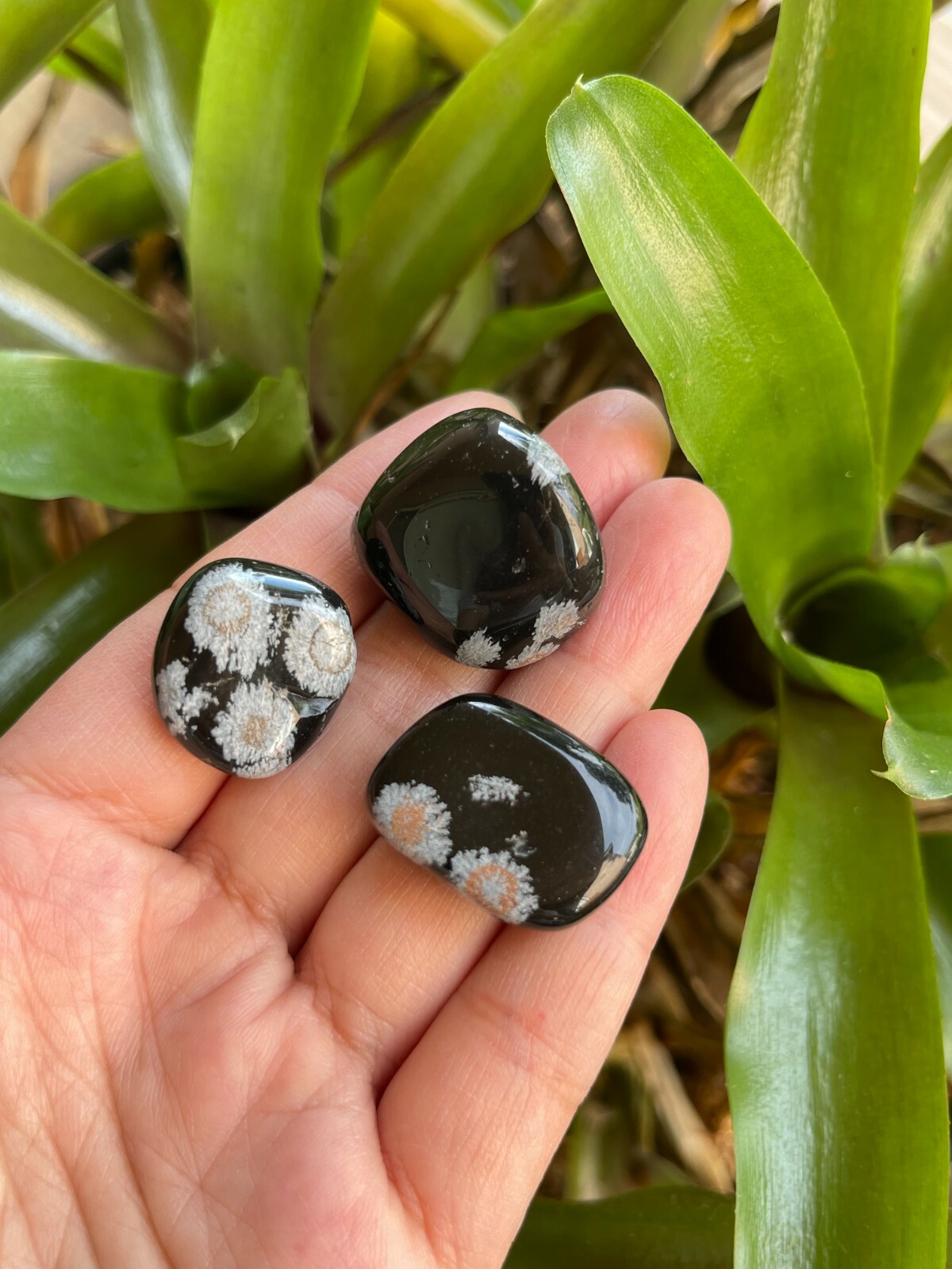Grade A++ Snowflake Obsidian Tumbled Stones, 0.75″-1″ Polished Stone, Bulk Lot
