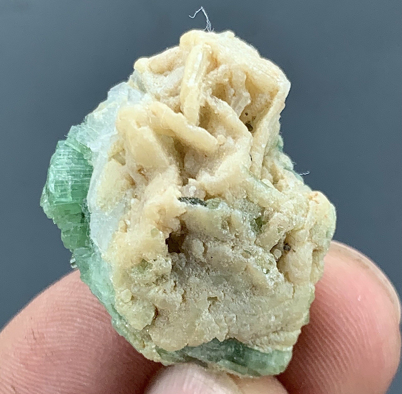 13.56 Gram Natural Tourmaline Crystal Bunch Specimen/ Afghanistan Mineral