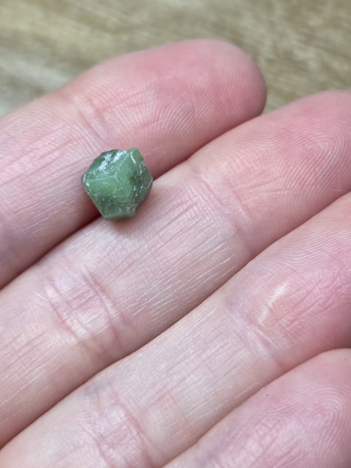Set of 5 Natural Garnets – Rough Specimens