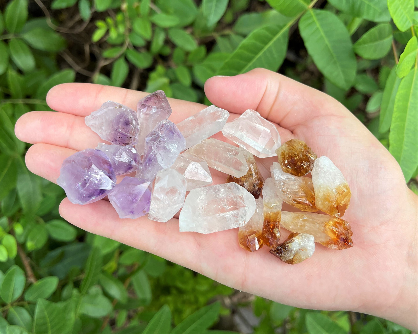 1000 Carat Lot of Mixed Natural Crystal Points: Amethyst, Citrine, Clear Quartz