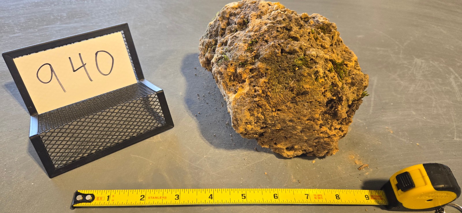 7″ Medium Pumice Stone Floating Natural Rock Carnivorous Succulent Garden #940