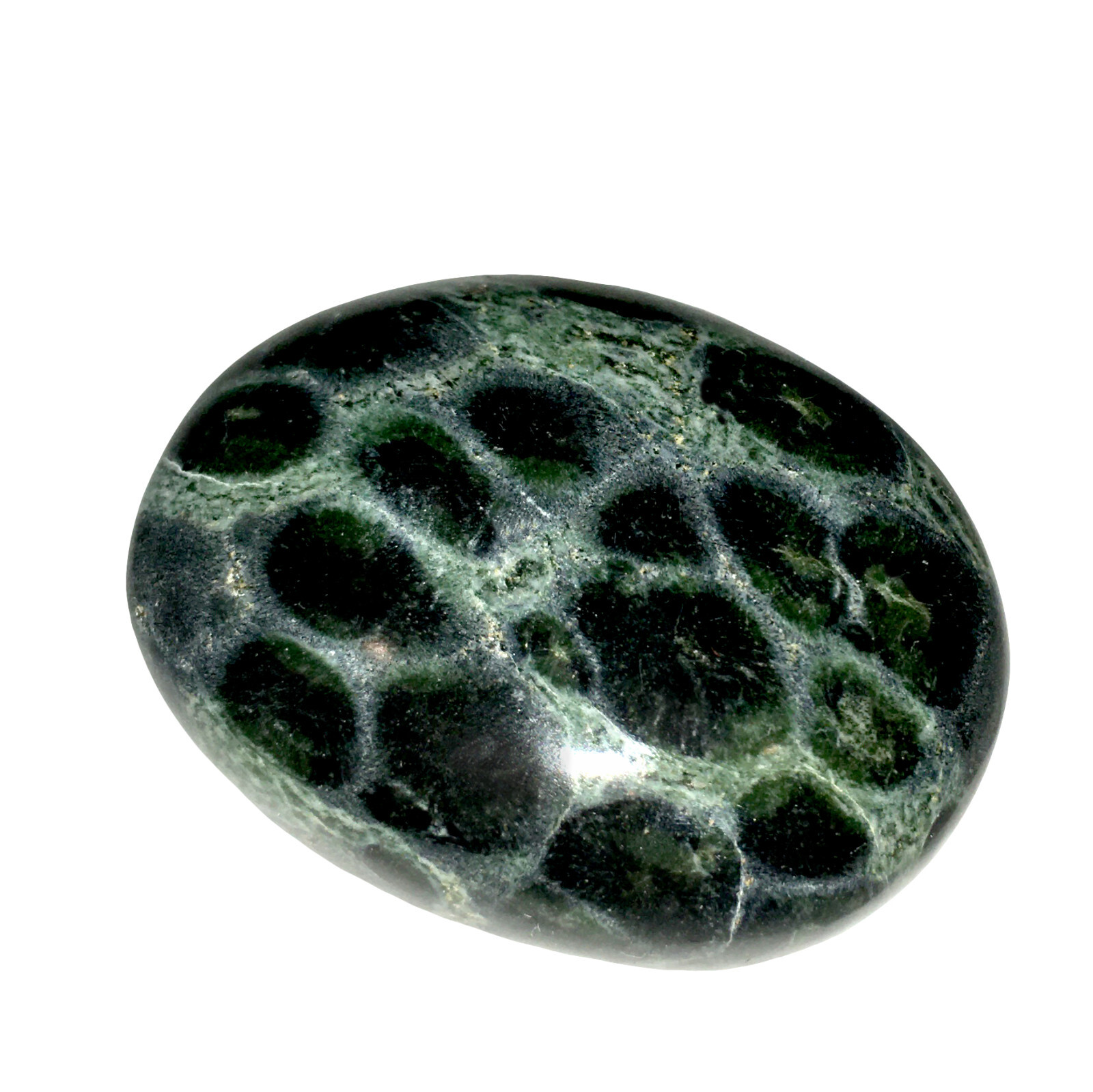 XL Kambaba Jasper Palm Stone Green Rock Crystal Healing Reiki Polished Worry Sto