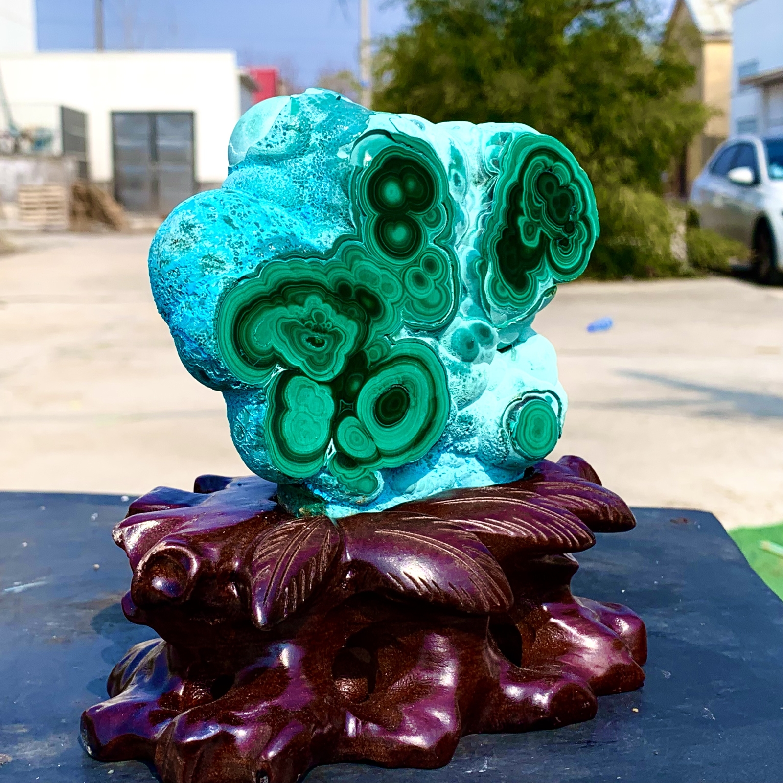1.92LB Natural Chrysocolla/Malachite transparent cluster rough mineral sample